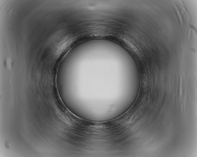 X0000096960639200802080901
