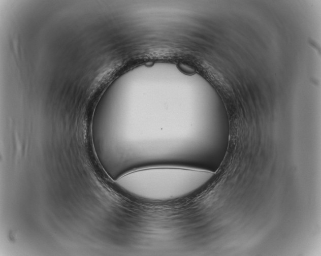 X0000096960640200802080901