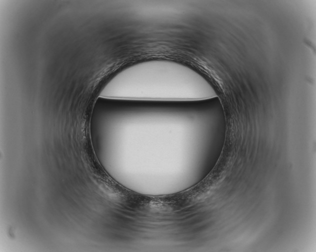 X0000096960641200802080901