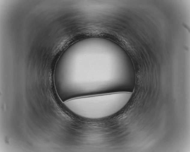 X0000096960642200802080901