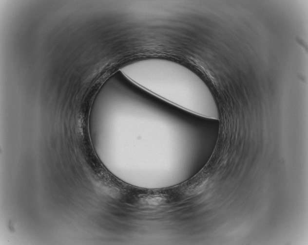 X0000096960643200802080901