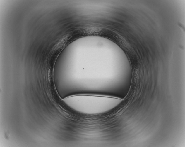 X0000096960644200802080901