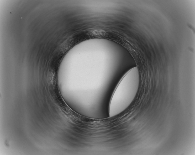 X0000096960651200802080901