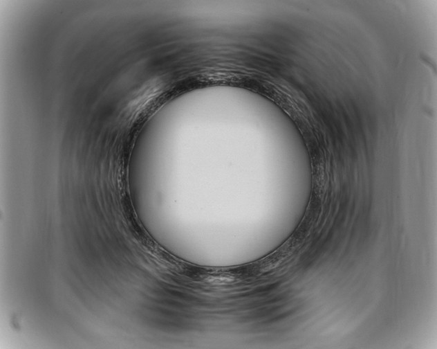 X0000096960653200802080901