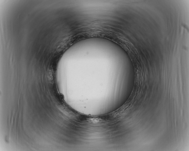 X0000096960654200802080901