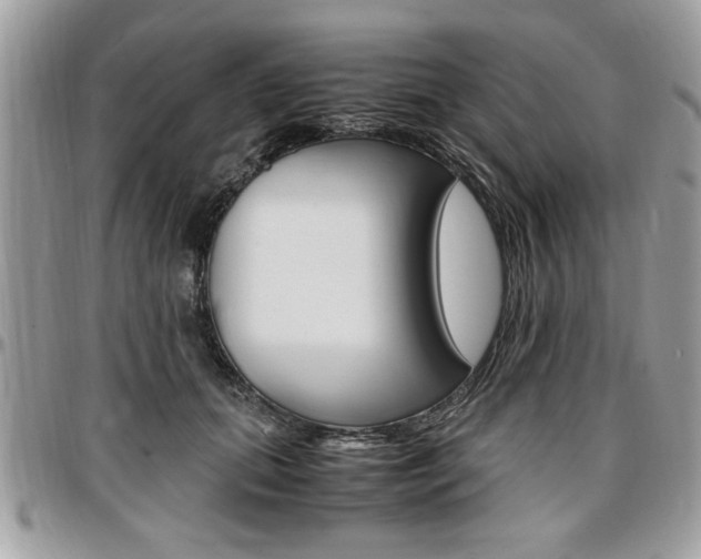 X0000096960655200802080901