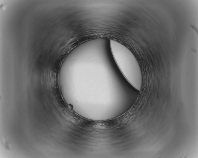 X0000096960656200802080901