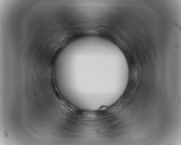X0000096960658200802080901