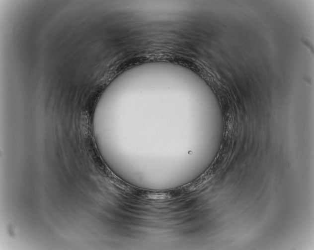 X0000096960659200802080901