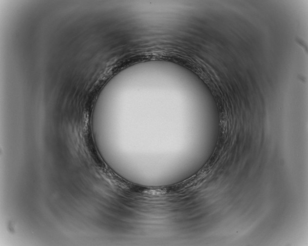 X0000096960660200802080901