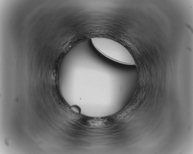 X0000096960661200802080901