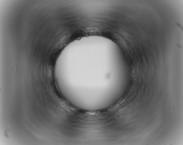 X0000096960662200802080901