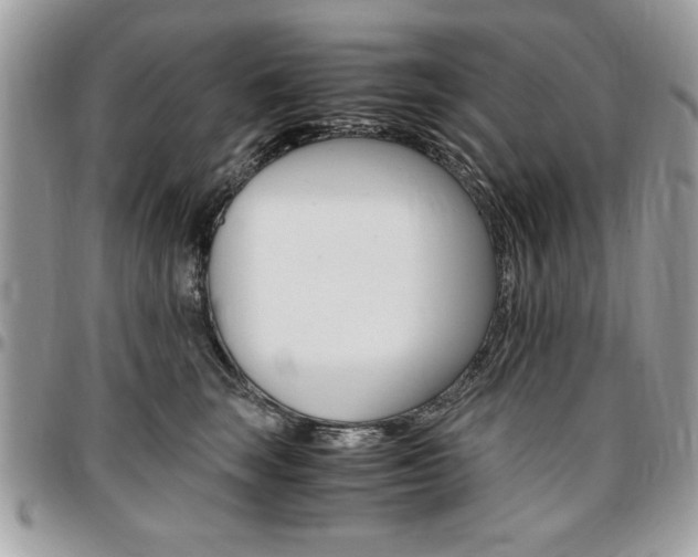 X0000096960663200802080901