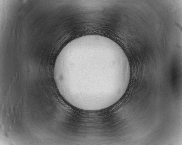 X0000096960665200802080901