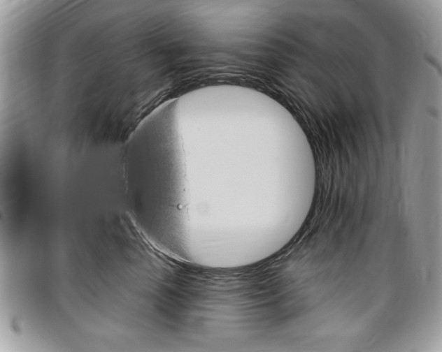 X0000096960666200802080901