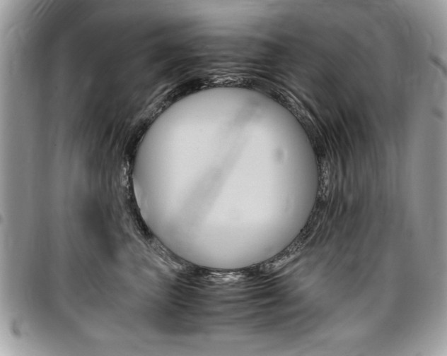 X0000096960667200802080901