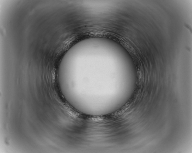 X0000096960668200802080901