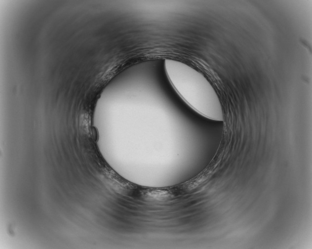 X0000096960669200802080901