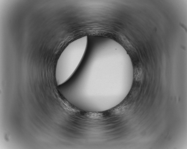 X0000096960670200802080901