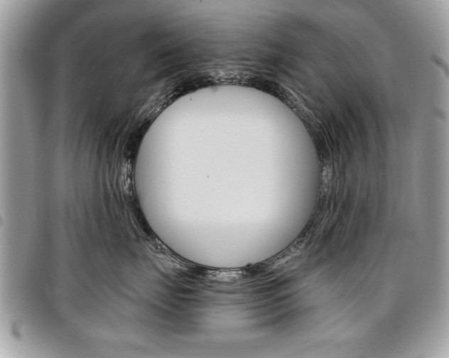 X0000096960671200802080901