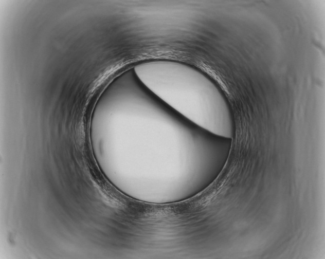 X0000096960674200802080900
