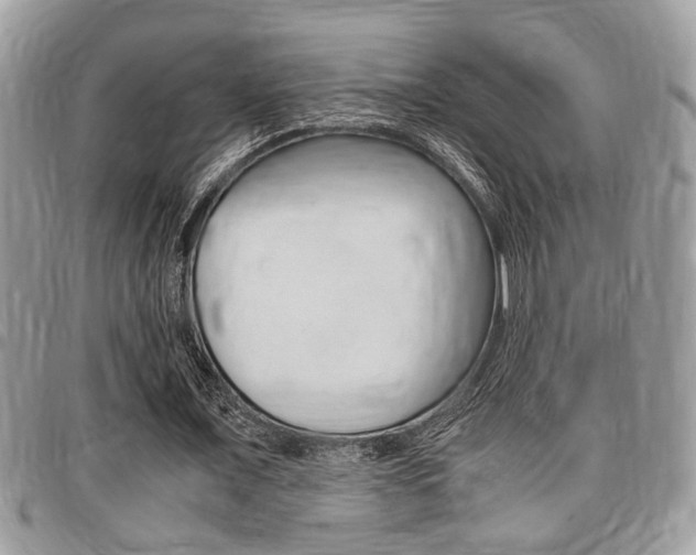X0000096960675200802080900