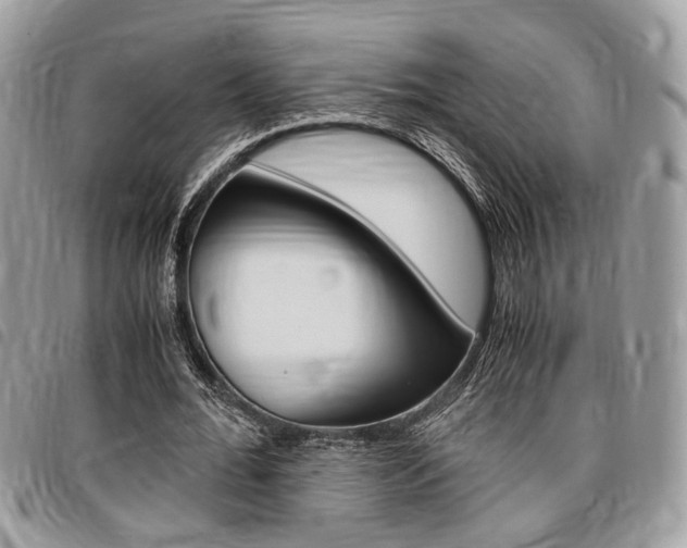 X0000096960676200802080900