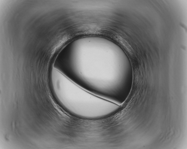 X0000096960677200802080900