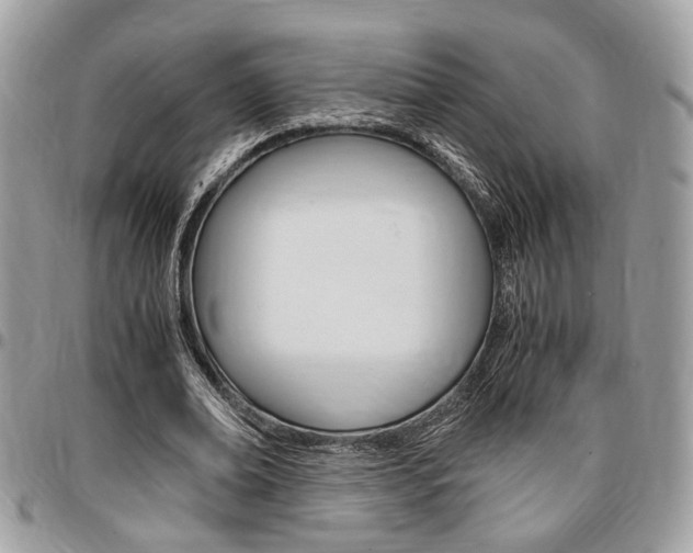 X0000096960678200802080900