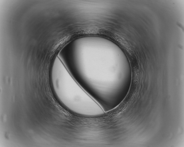 X0000096960681200802080900
