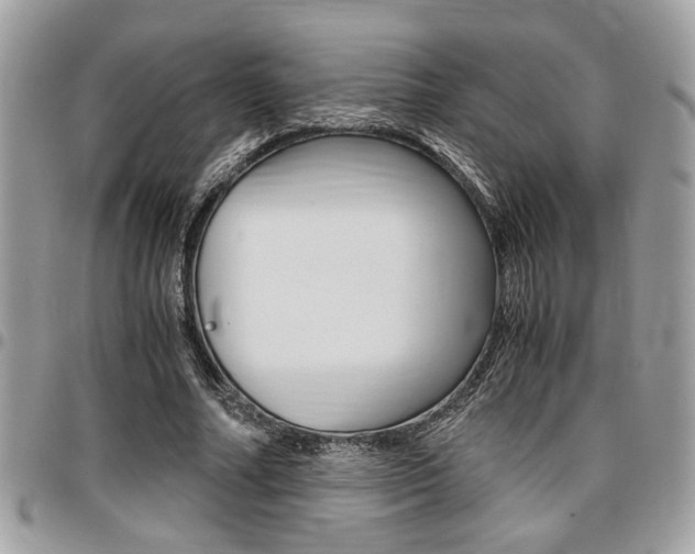 X0000096960682200802080900