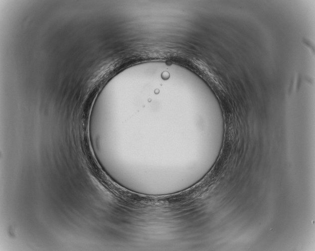 X0000096960683200802080900