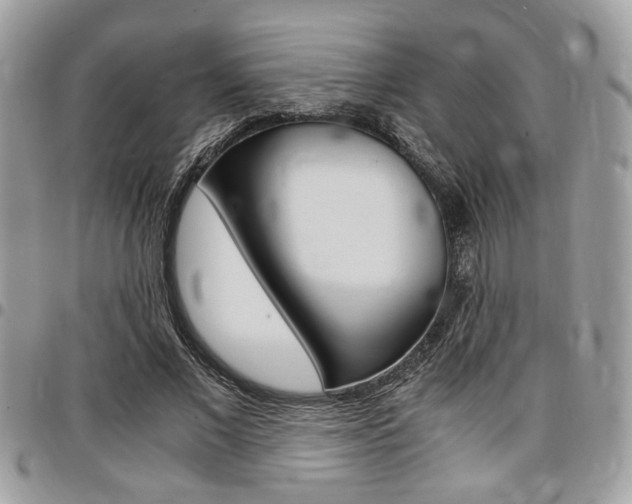 X0000096960685200802080900