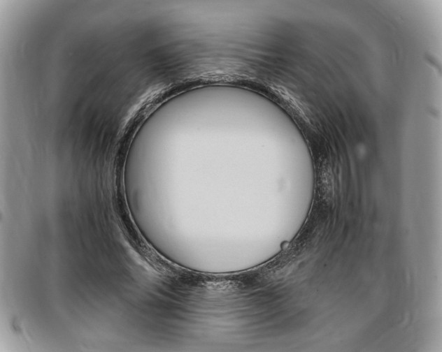 X0000096960686200802080900