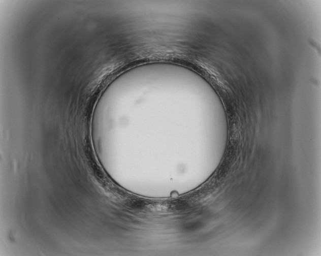 X0000096960687200802080900