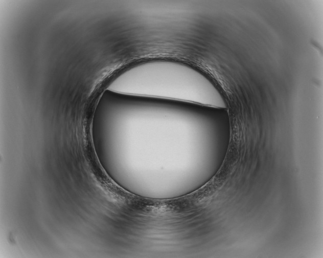 X0000096960688200802080900