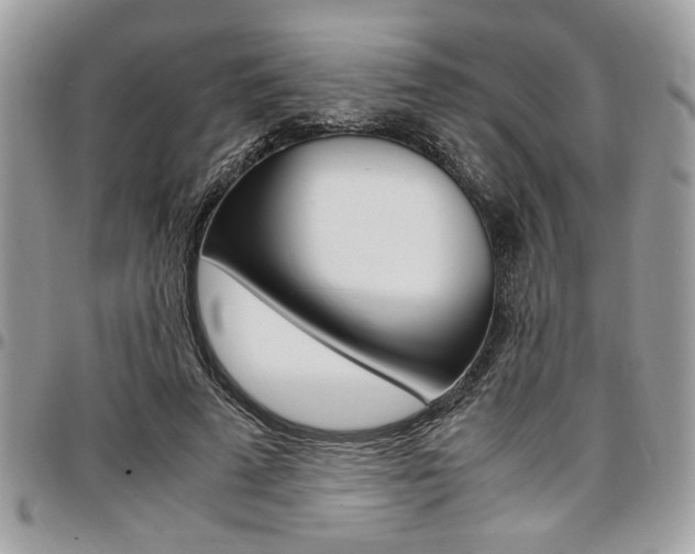 X0000096960689200802080900