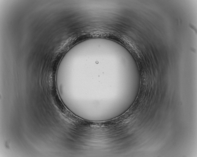 X0000096960690200802080900