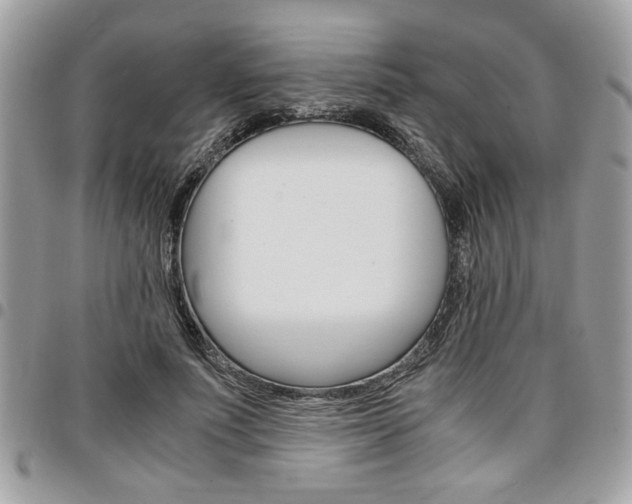 X0000096960691200802080900