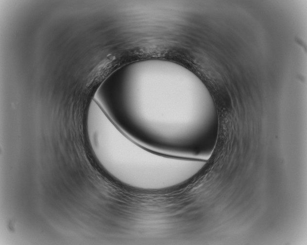 X0000096960693200802080900
