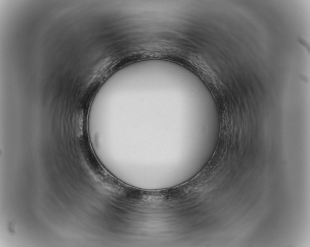 X0000096960694200802080900