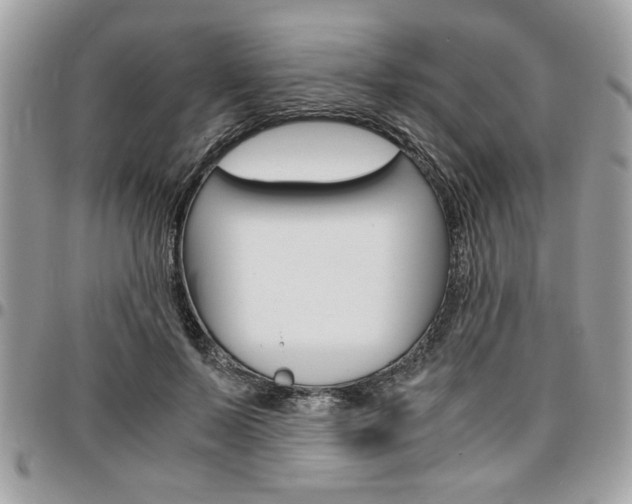 X0000096960695200802080900