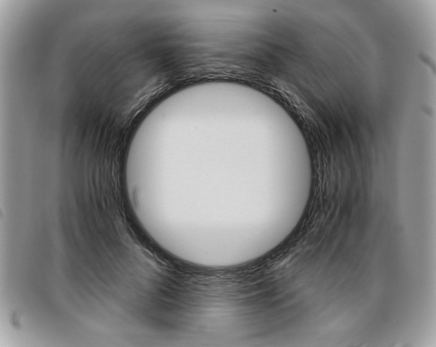 X0000096960696200802080900