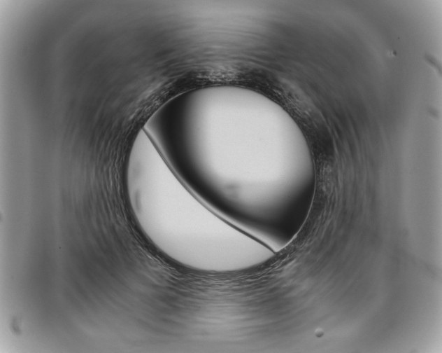 X0000096960697200802080900
