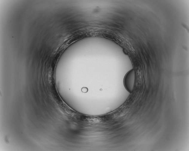 X0000096960698200802080900