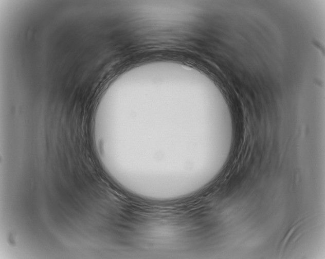 X0000096960701200802080900