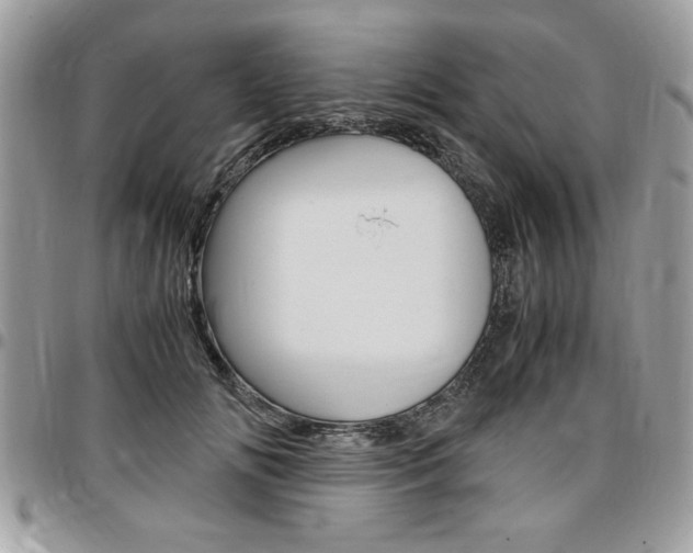 X0000096960702200802080900