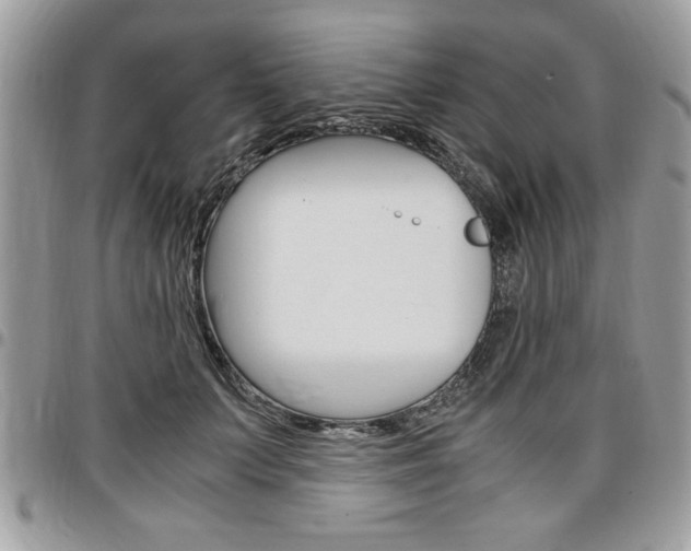 X0000096960703200802080900