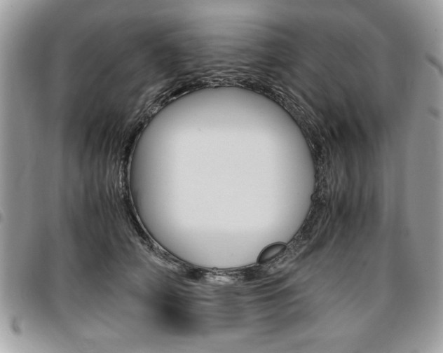 X0000096960706200802080900