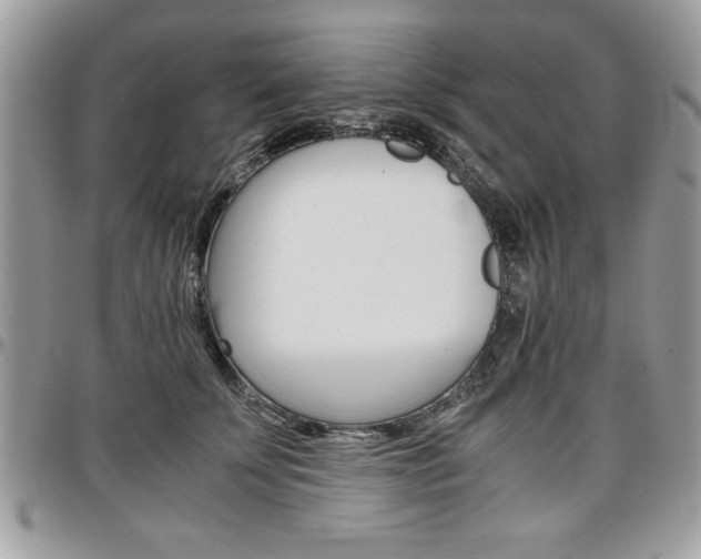 X0000096960707200802080900